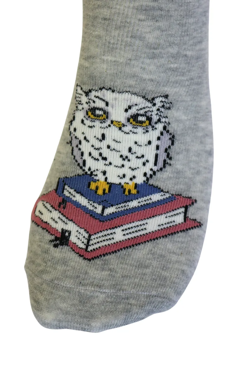 OWL helehallid öökullidega sokid lastele