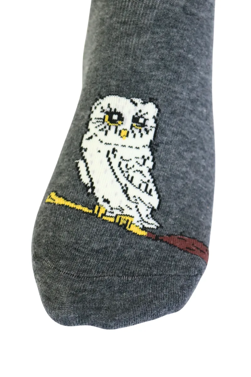 OWL tumehallid öökullidega sokid lastele
