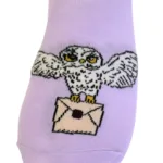 OWL lillad öökullidega sokid lastele