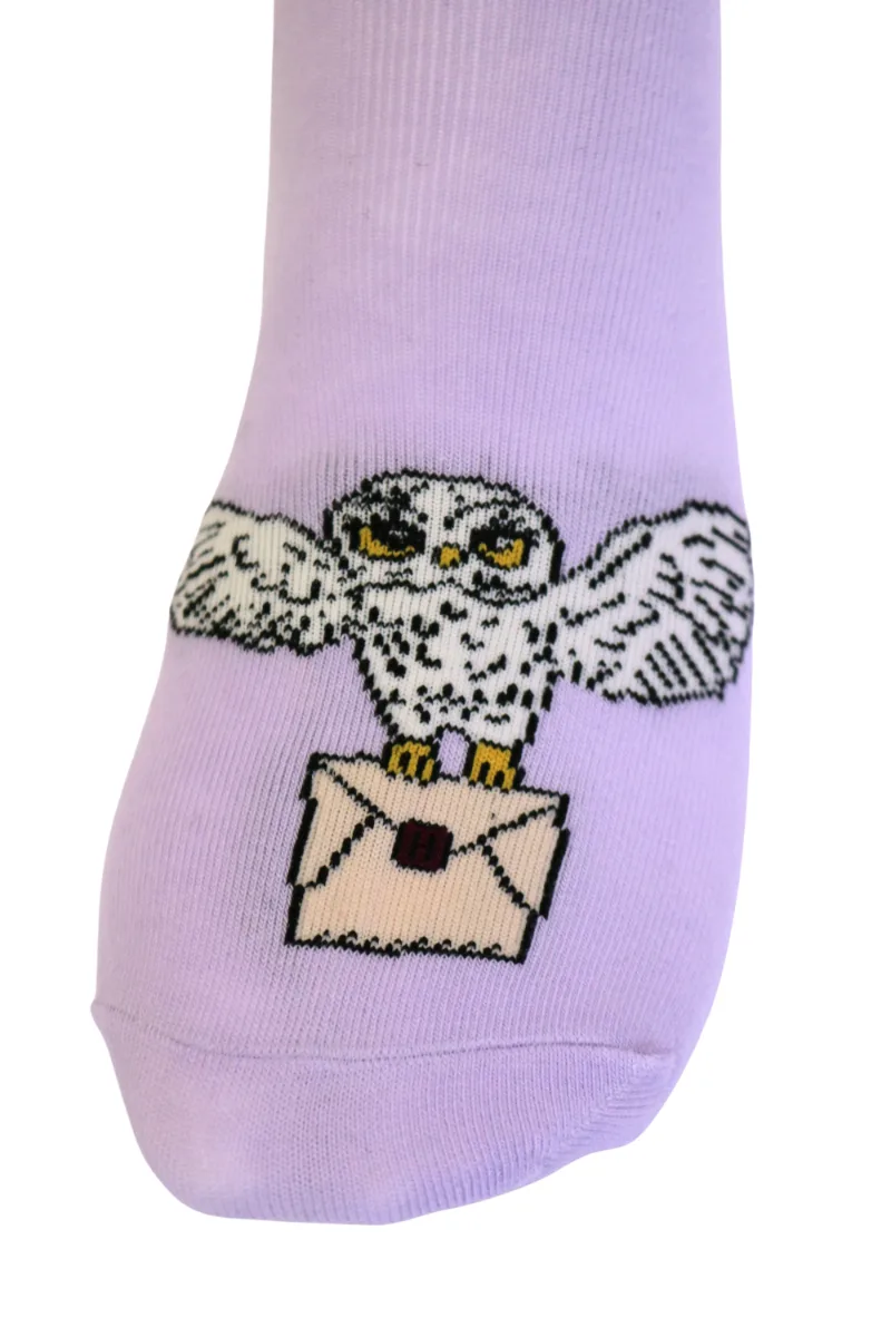 OWL lillad öökullidega sokid lastele