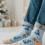 HOLIPAX jõuluteemaline kinkekarp 5 sokipaariga