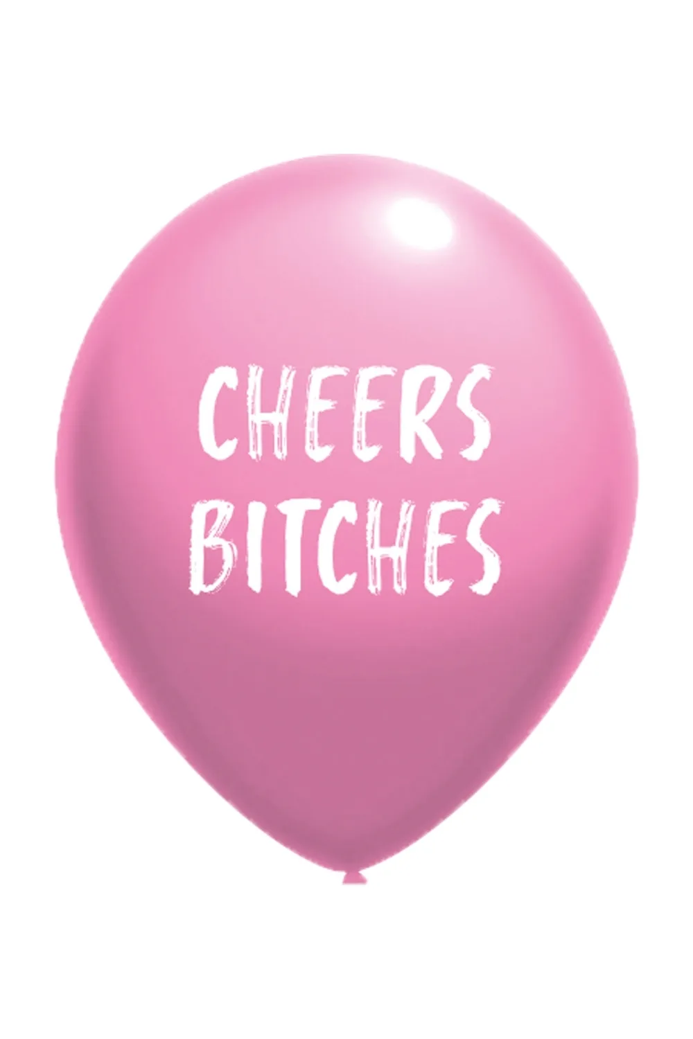 CHEERS BITCHES õhupall