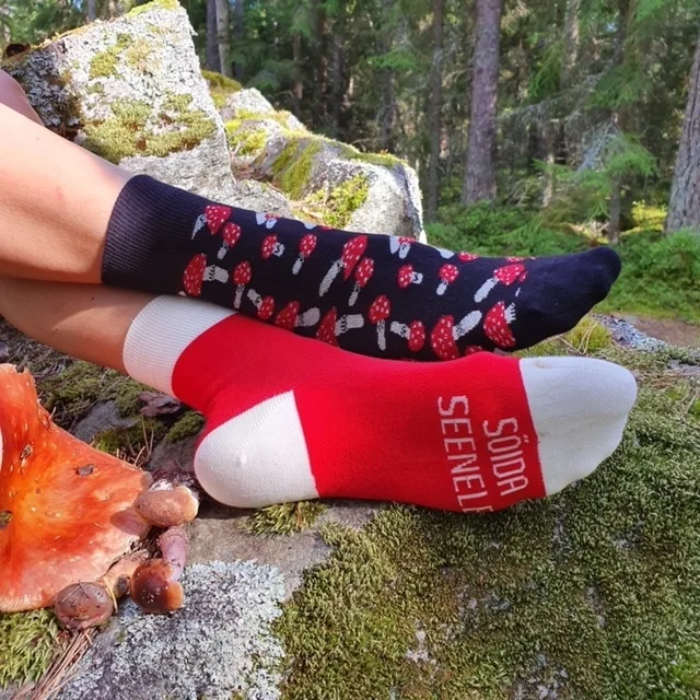 SEENELE kokasokid lastele