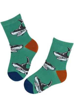 HUNGRY SHARK rohelised haikaladega sokid lastele