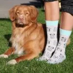 WOOF PERSON puuvillased sokid naistele