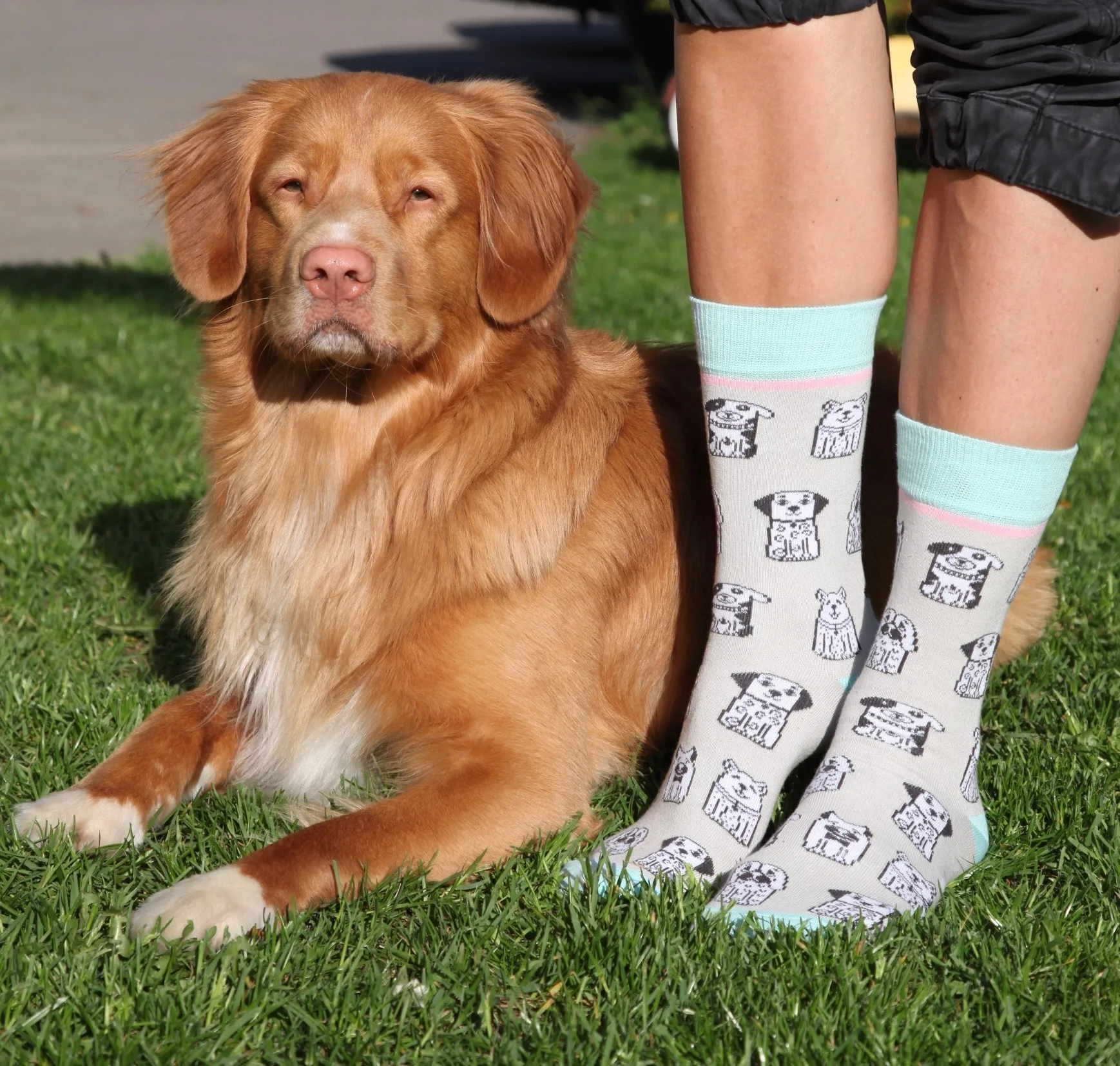 WOOF PERSON puuvillased sokid naistele
