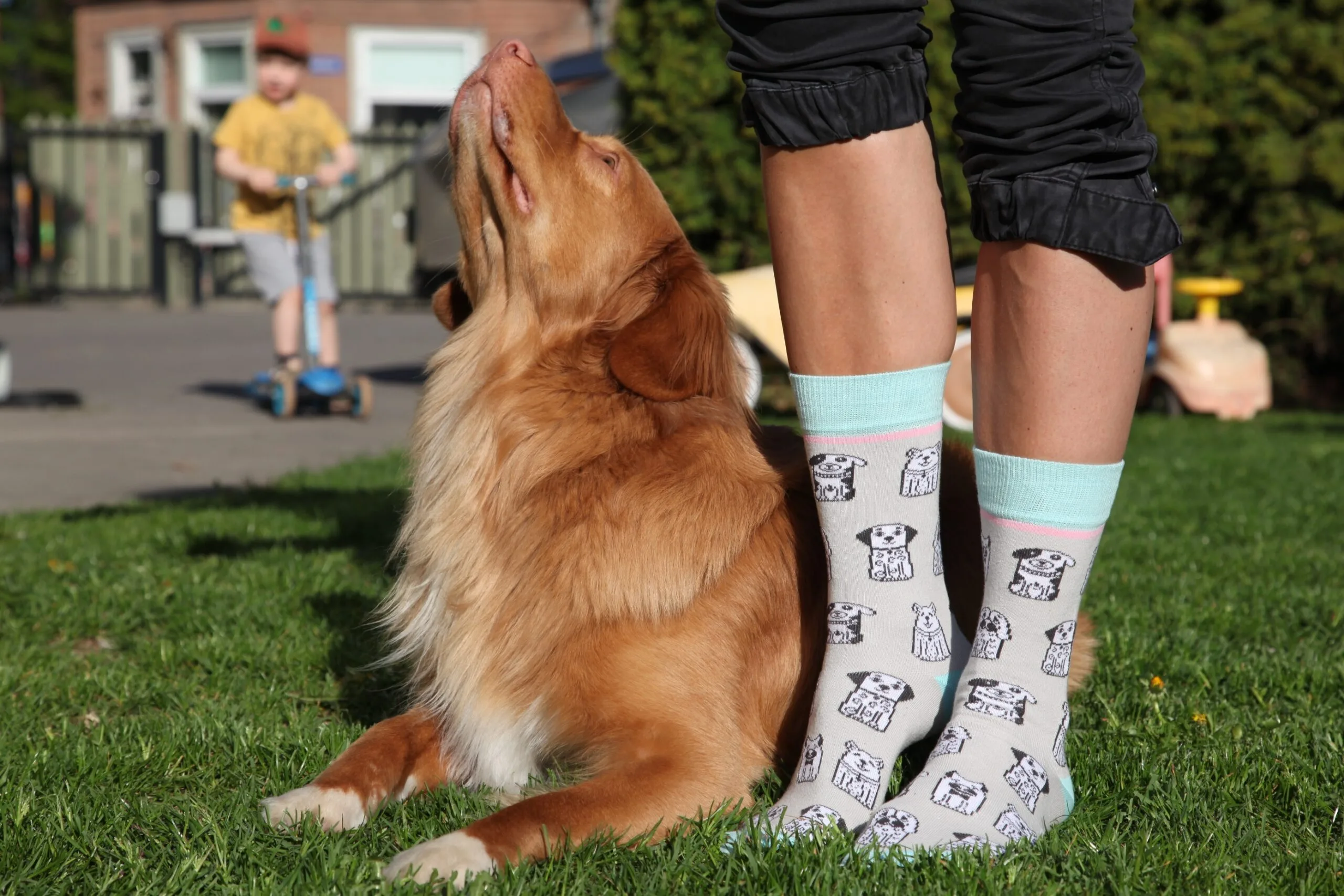 WOOF PERSON puuvillased sokid naistele