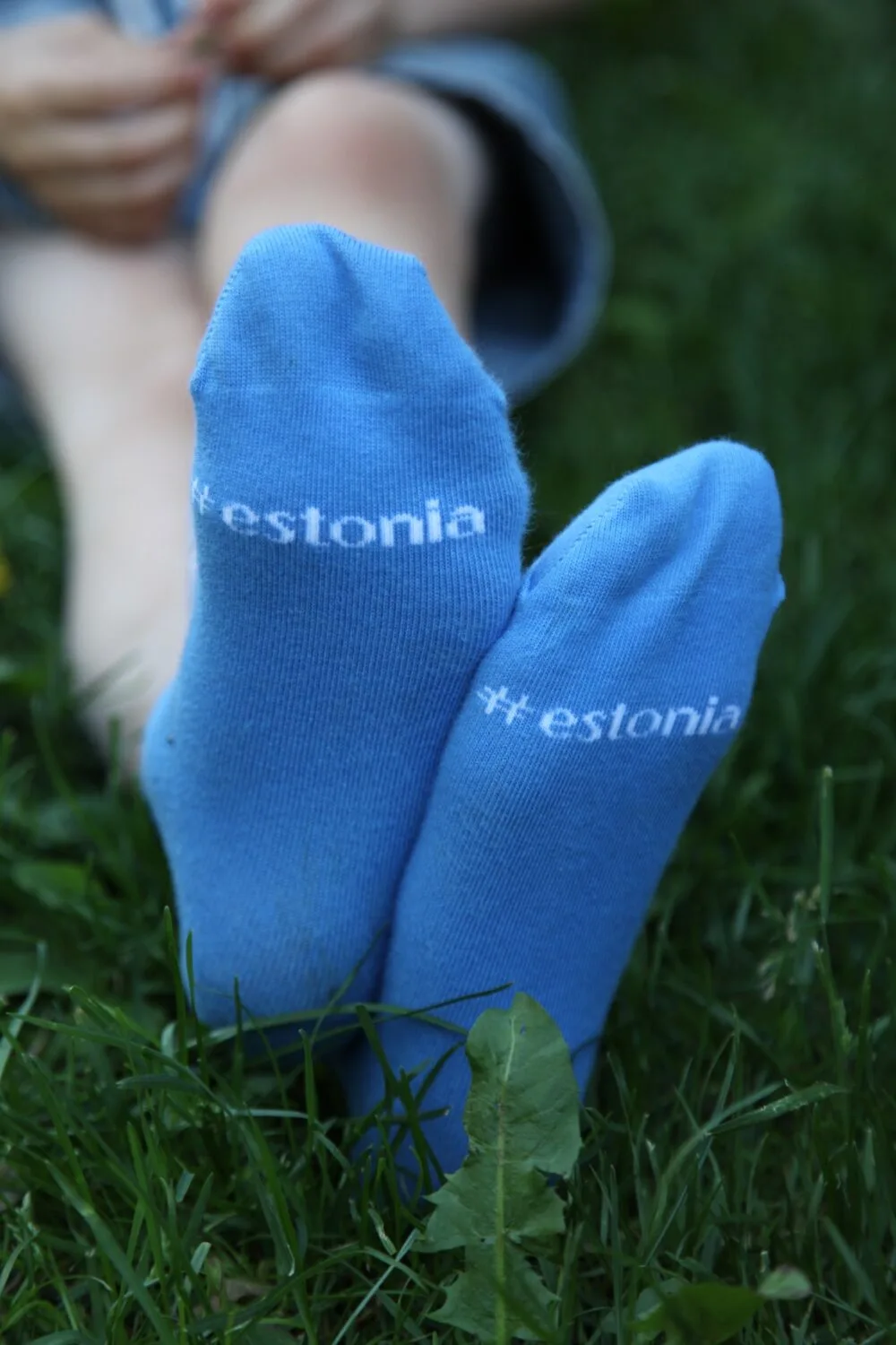 #ESTONIA pääsukestega sokid lastele