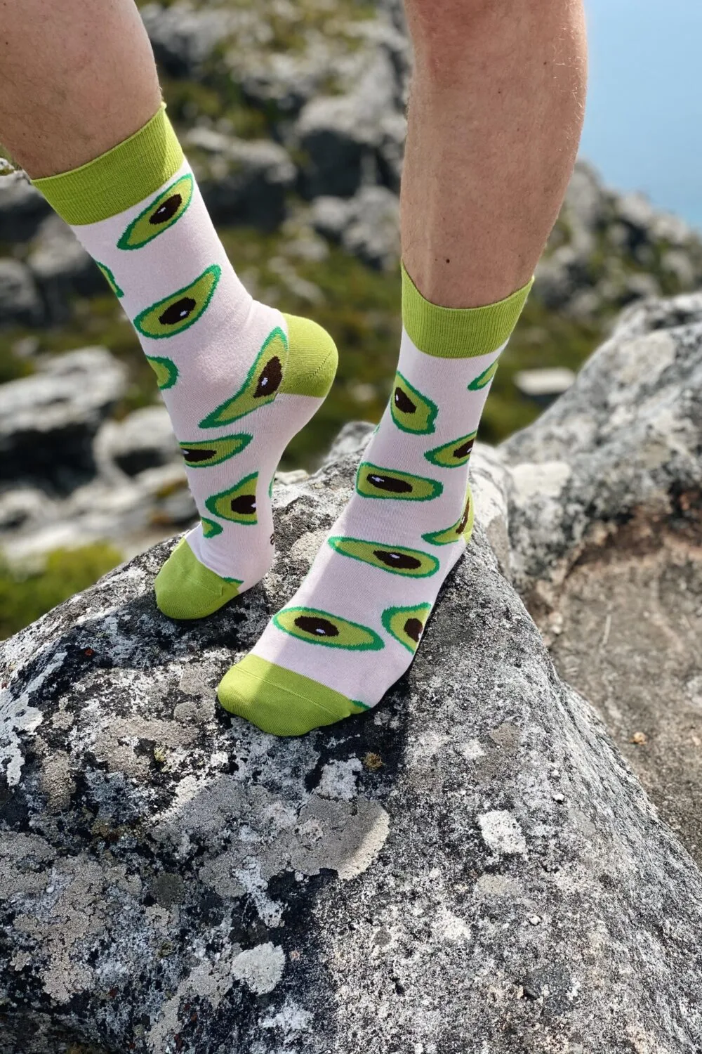 AVOCADO hallid kokasokid
