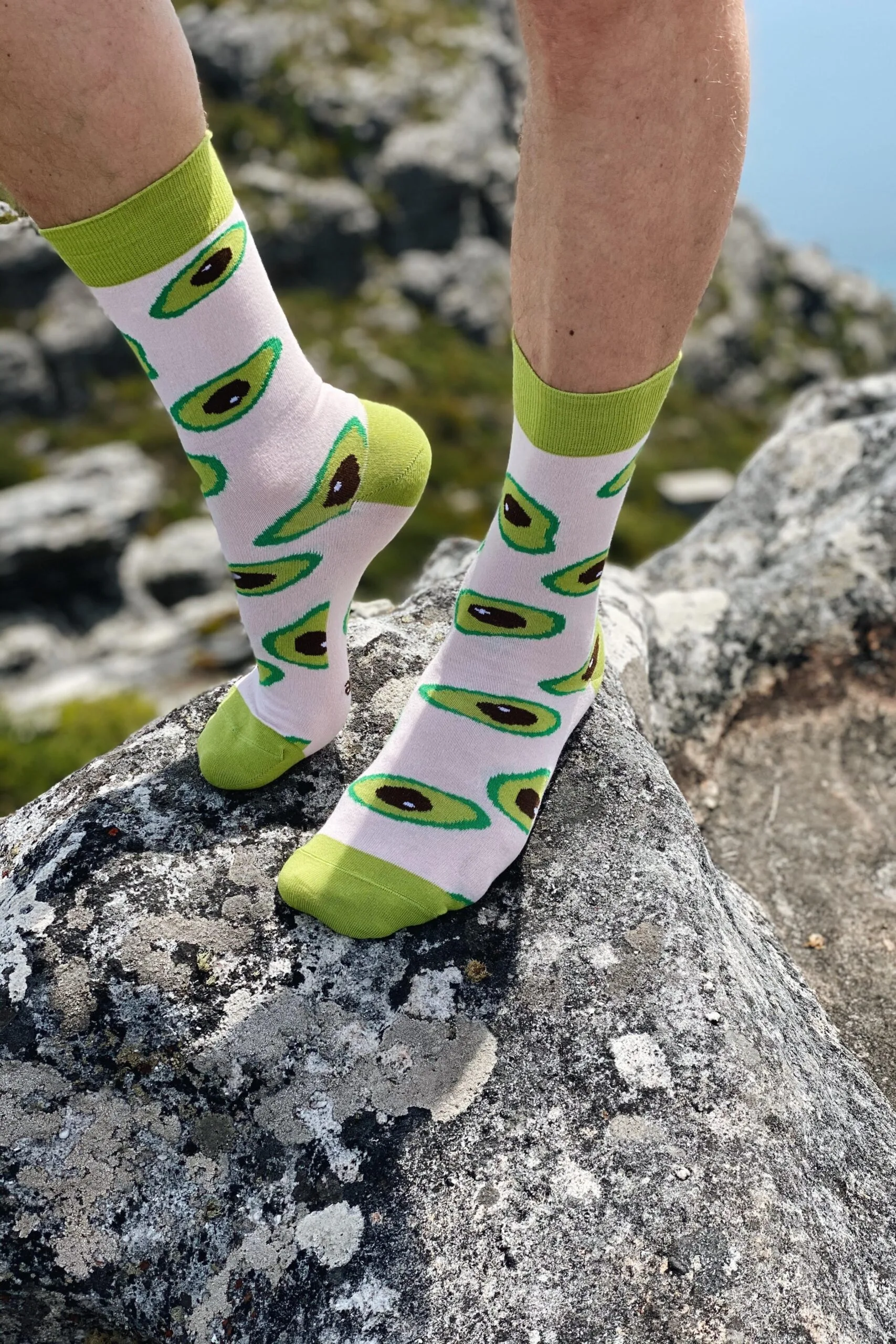 AVOCADO hallid kokasokid
