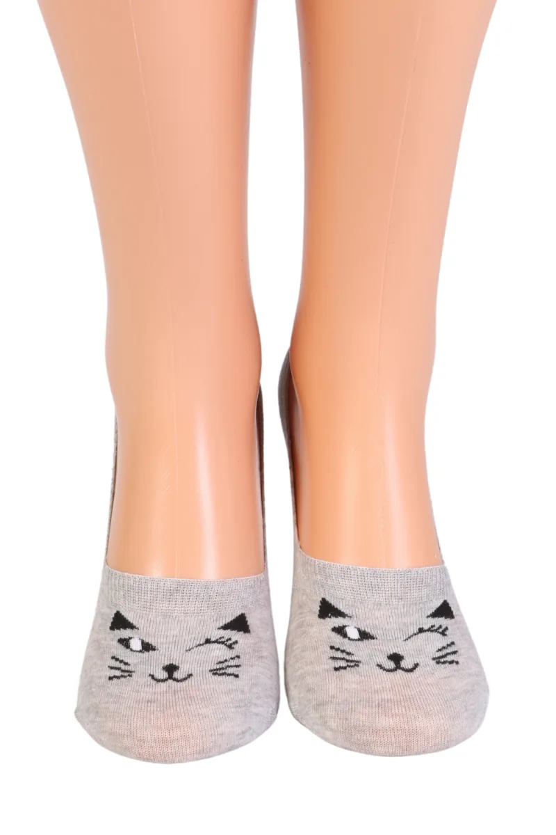 KITTEN hallid kassiga stepsid