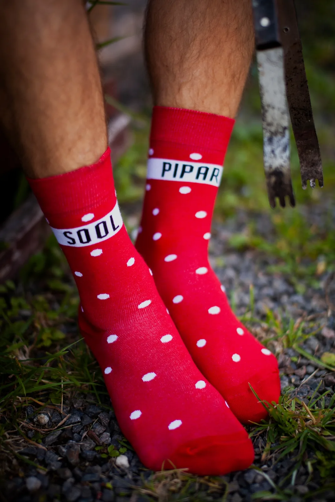 PIPAR ja SOOL punased puuvillased sokid