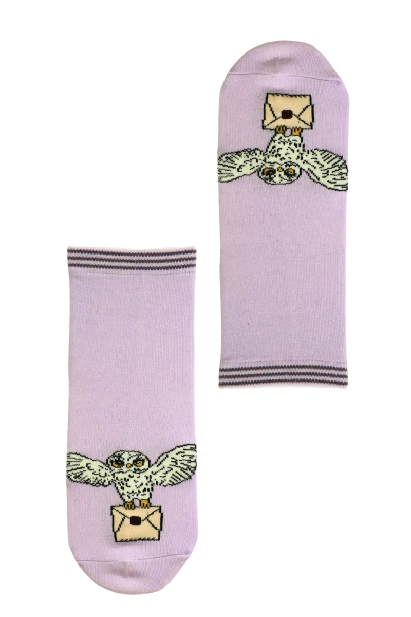OWL lillad öökullidega sokid lastele