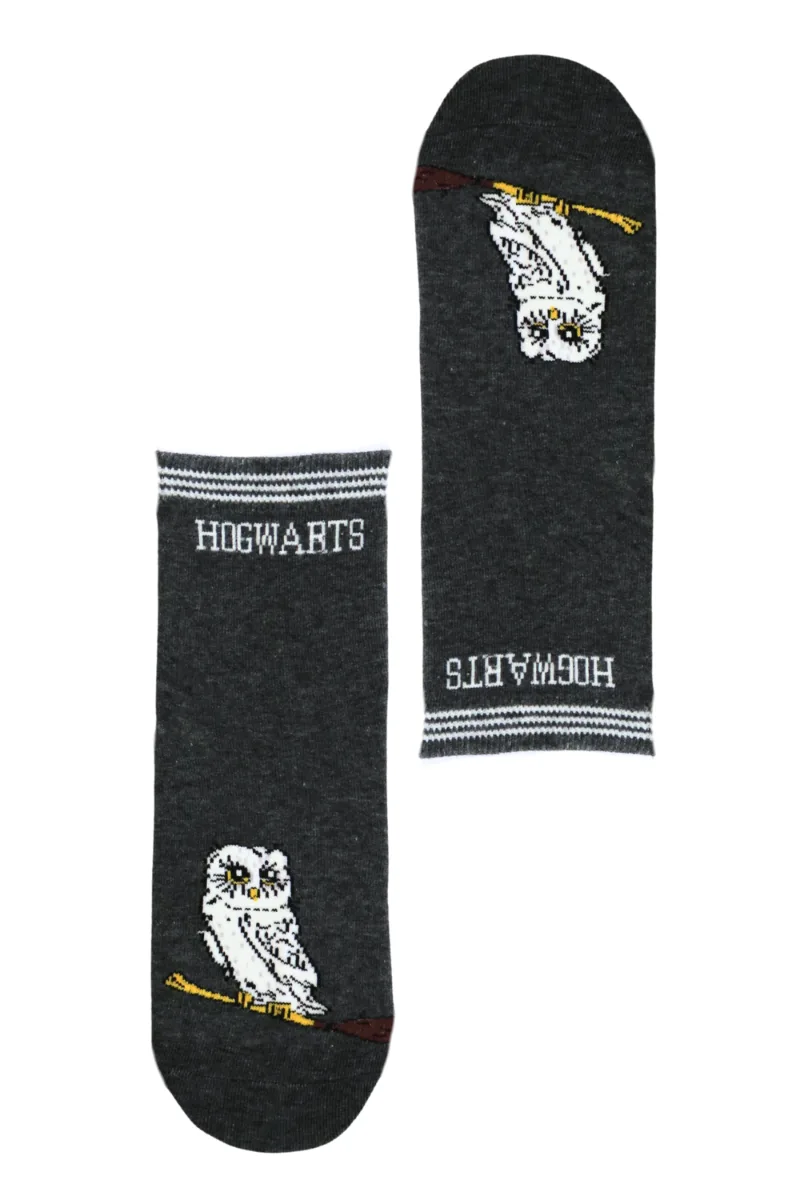 OWL tumehallid öökullidega sokid lastele