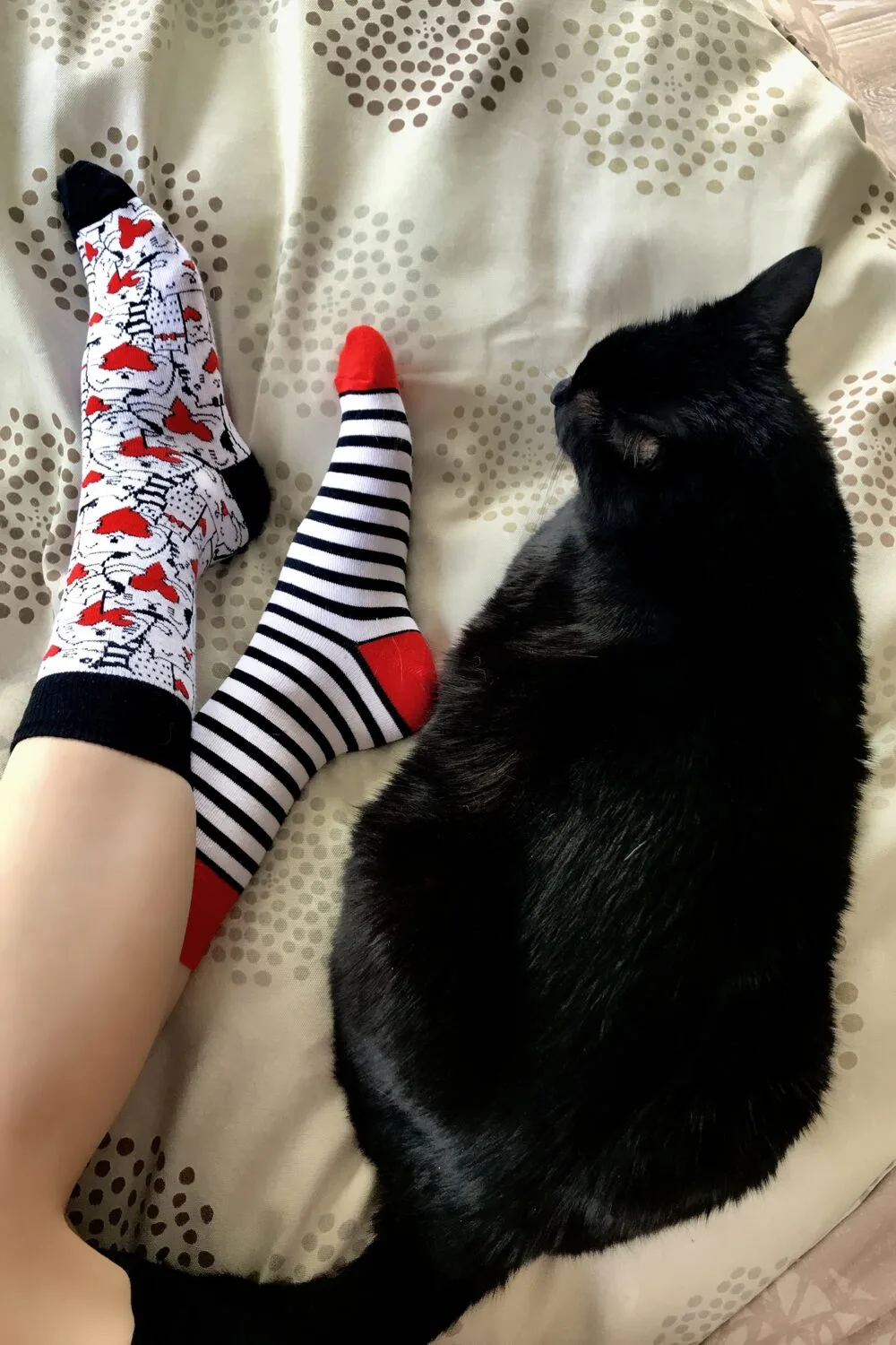 PURRFECT LOVE valged puuvillased sokid