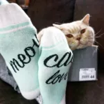 CAT LOVER mündirohelised sokid naistele