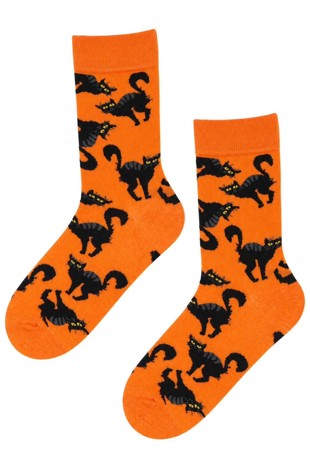 SCARY CAT Halloween socks with black cats